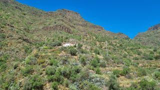 2023-04-GranCan-Guayadeque-047.jpg